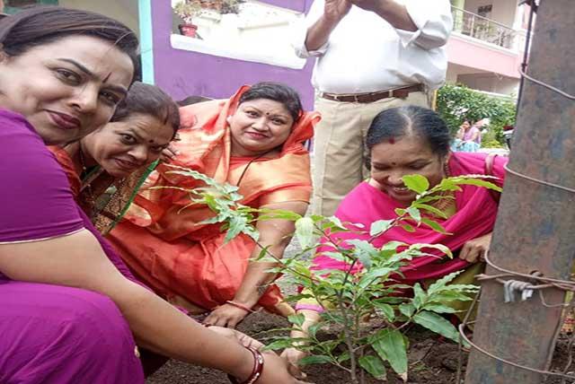 Under the campaign of 'Hara Bhara Aur Sheetal Bharat', plantation was done by Maharishi World Peace Movement in BHEL Nagar, Bhopal.